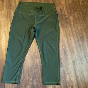 Tesla from Lane Bryant Capri leggings